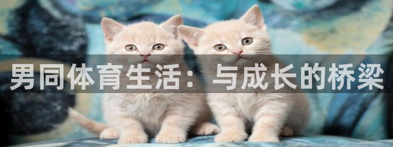 男同体育生活：与成长的桥梁