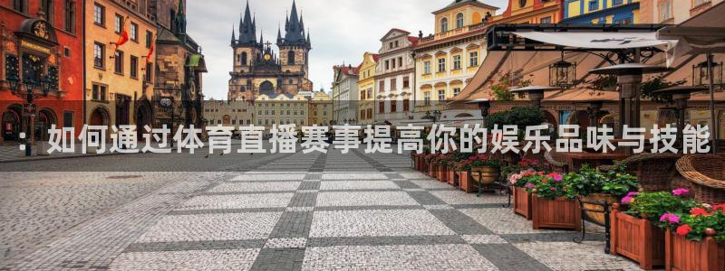 ：如何通过体育直播赛事提高你的娱乐品味与