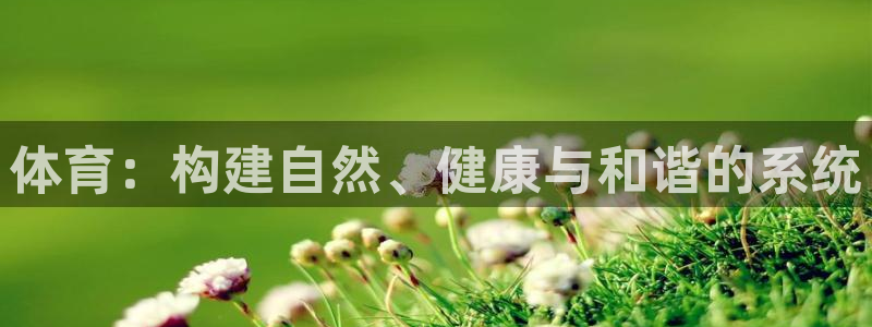 体育：构建自然、健康与和谐的系统