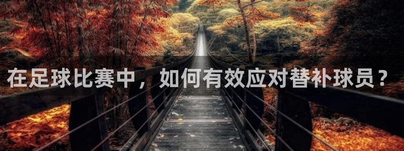蓝鲸直播体育appv3.新地址.org